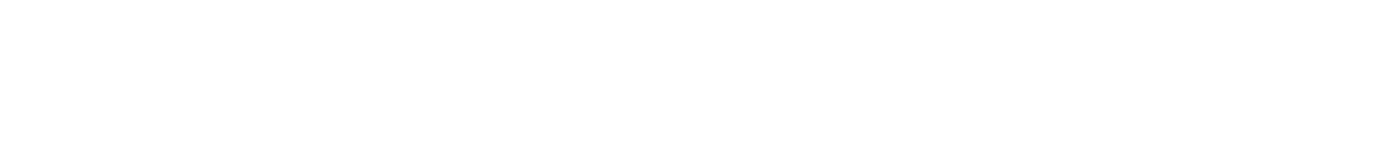 AI Executive_Logo Alternative (White)-06